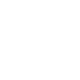 Telefono icon